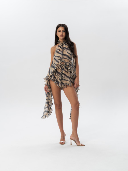 Set AURA ZEBRA Light